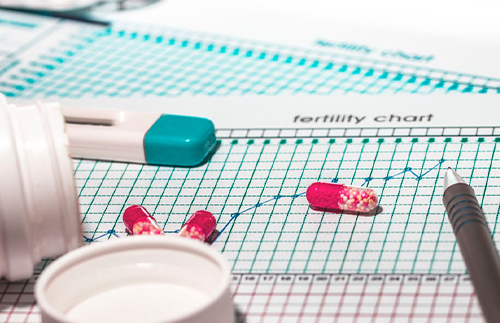 fertility chart and pregnancy test