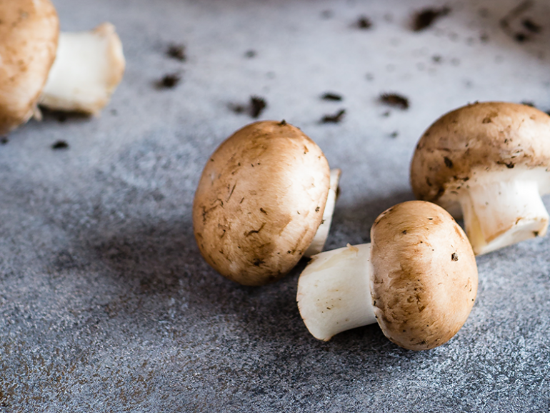 Mushrooms May Affect Cognitive Health