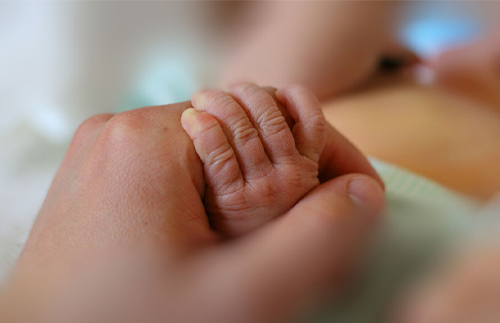 baby hand holding adult hand