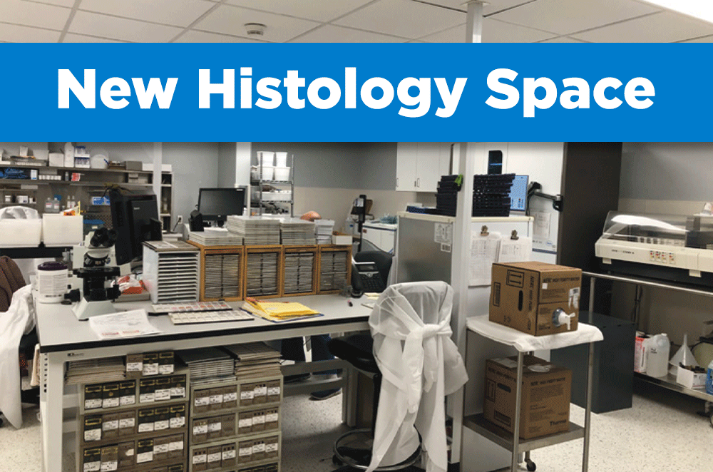 New Histology Space