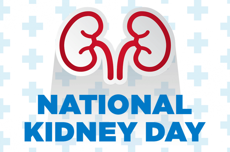 Get to Know Your Kidneys