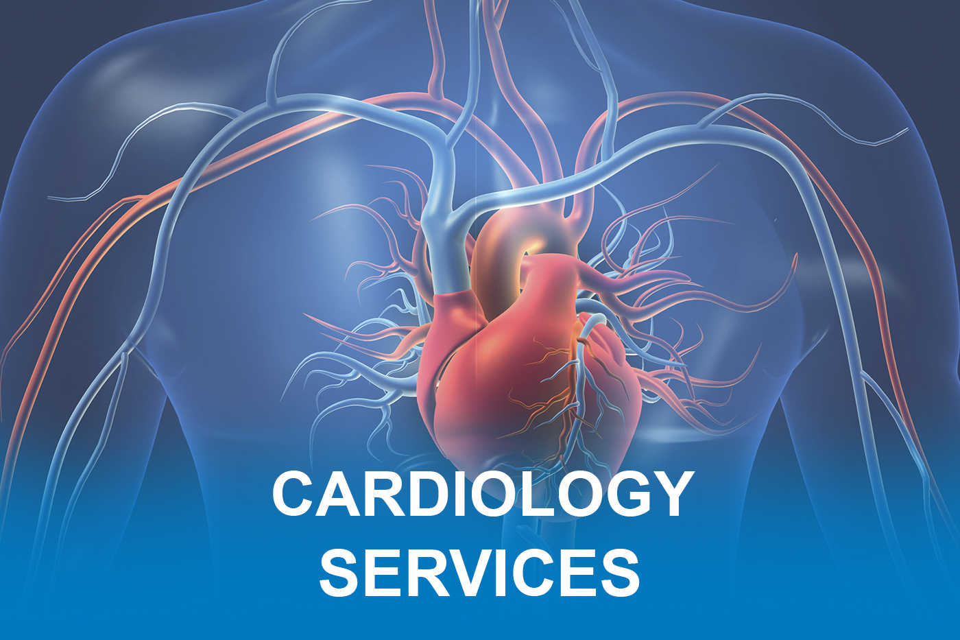 Cardiology Services