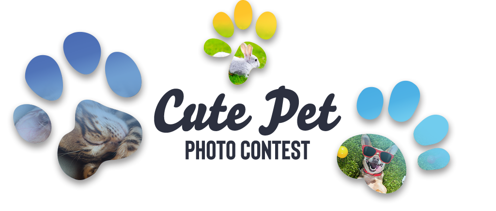 cute_pet_contest_cover