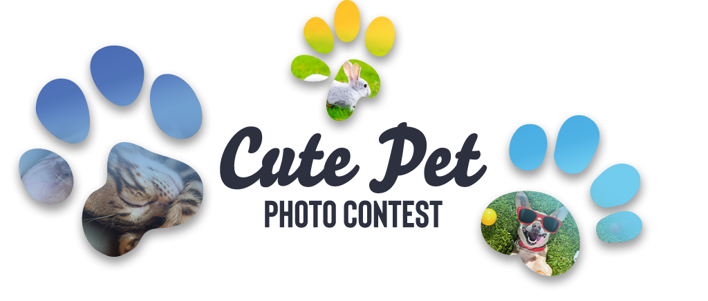 Cute Pet Contest 2022